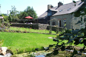 Brynifor Llangrannog